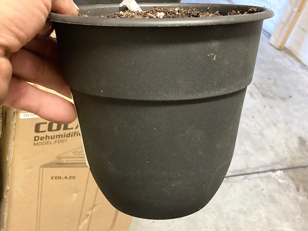 New starter pots 1 gallon.jpg