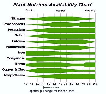 Nutrient Availability Science in Hydroponics.jpg