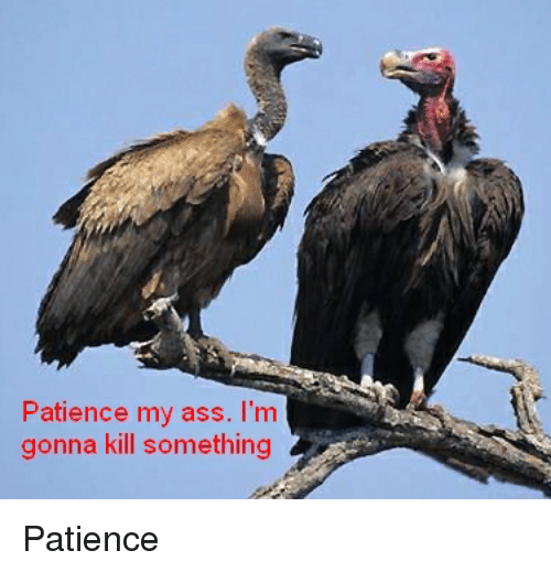 patience-my-ass-im-gonna-kill-something-patience-13978474.png