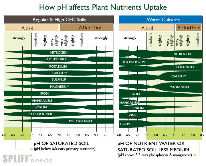 pH-Cannabis-Nutrition-1.png