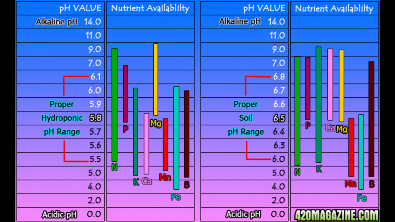 pH Chart.png