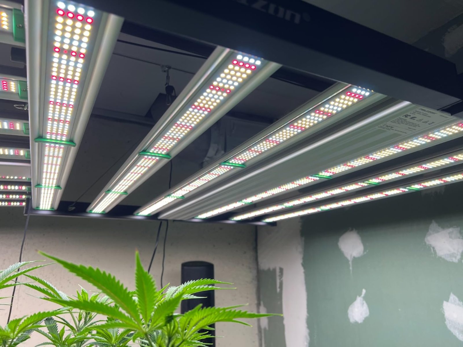 Phlizon_FD4500_LED_Grow_light (2).jpg