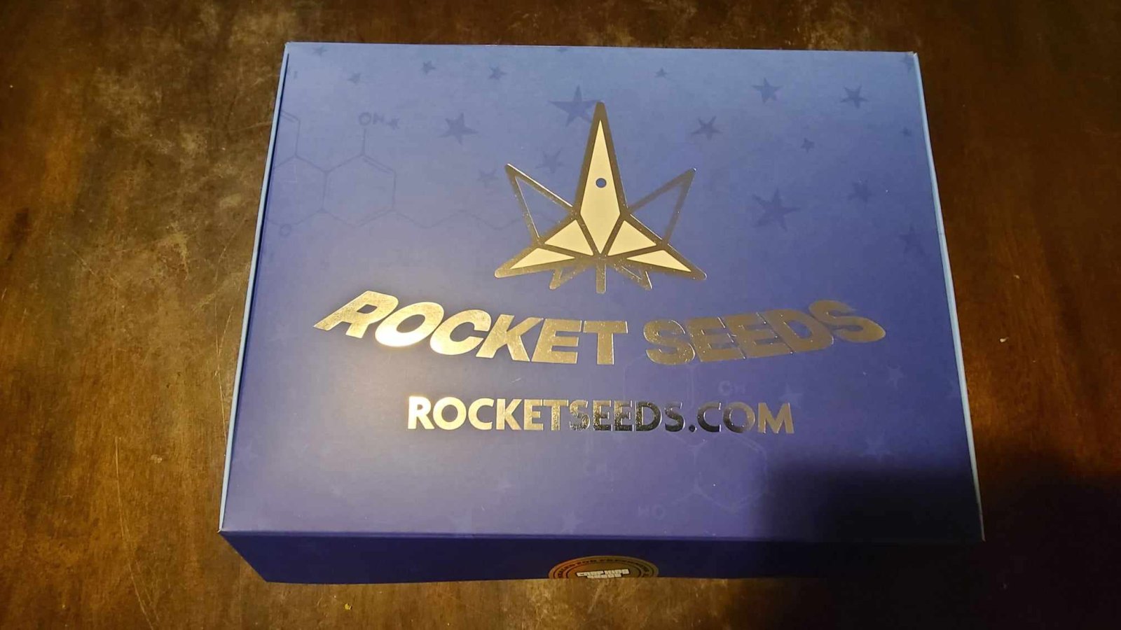 rocket seeds 3.jpg