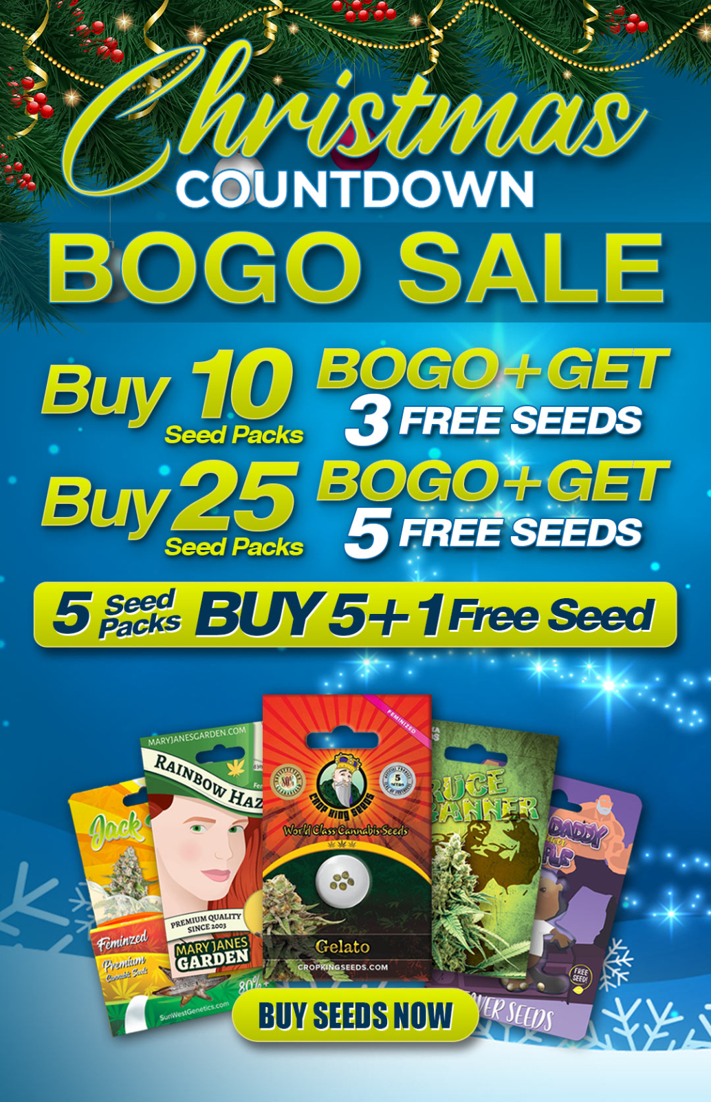 rocket seeds early christmas sale.jpg