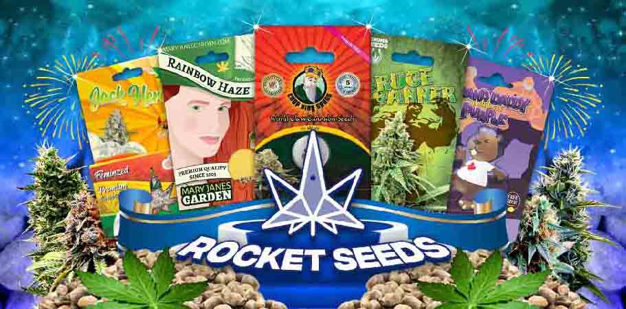 Rocket Seeds New Strains Release.jpg