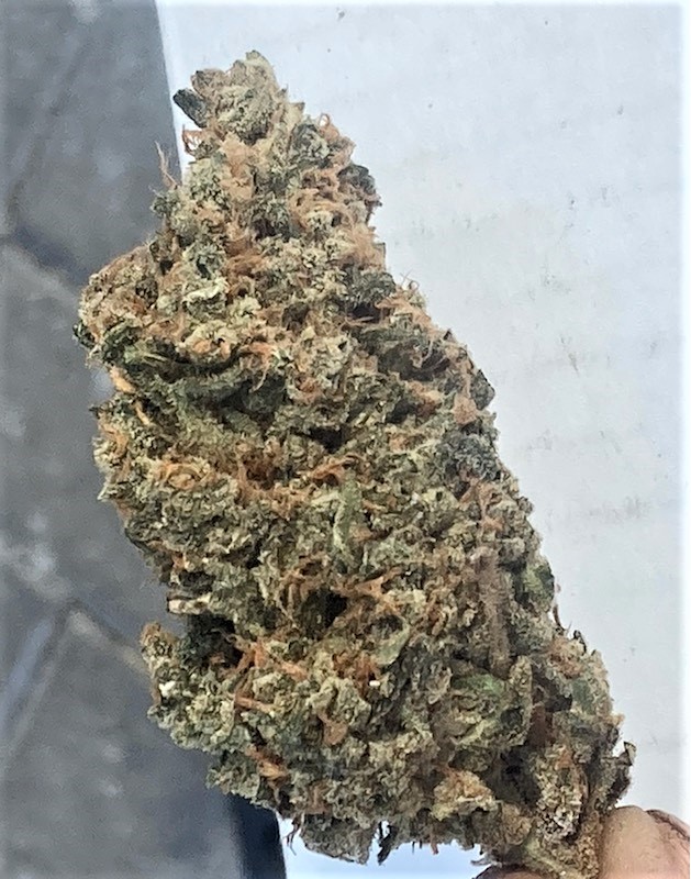 SB Pheno #2 bud shot.jpg