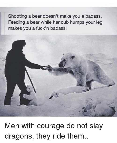 shooting-a-bear-doesnt-make-you-a-badass-feeding-a-6767111.png