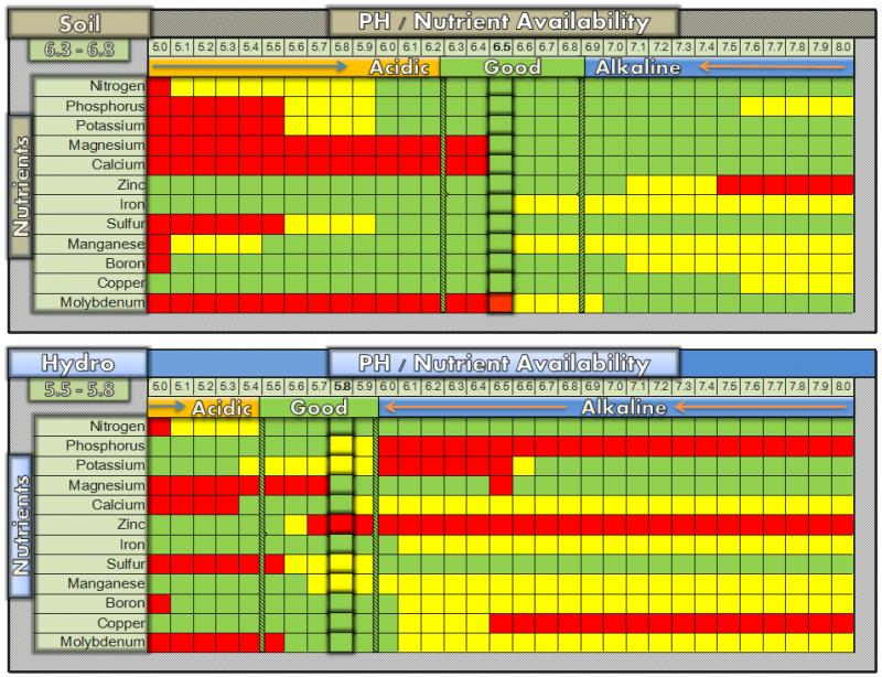 Someone's Nutrient Chart.png