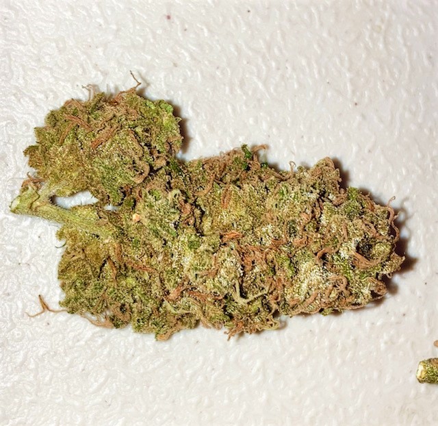 sour apple finished bud closeup.jpg