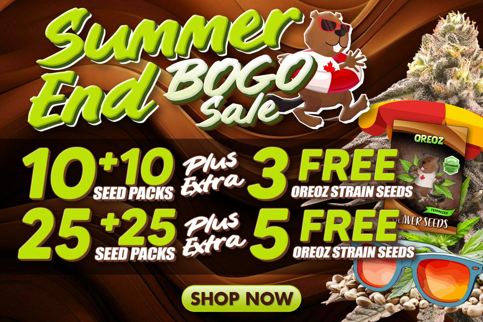 SUMMER END SALE BEAVER SEEDS.jpg