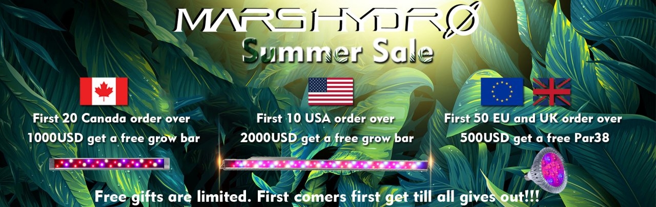 summer sale.jpg