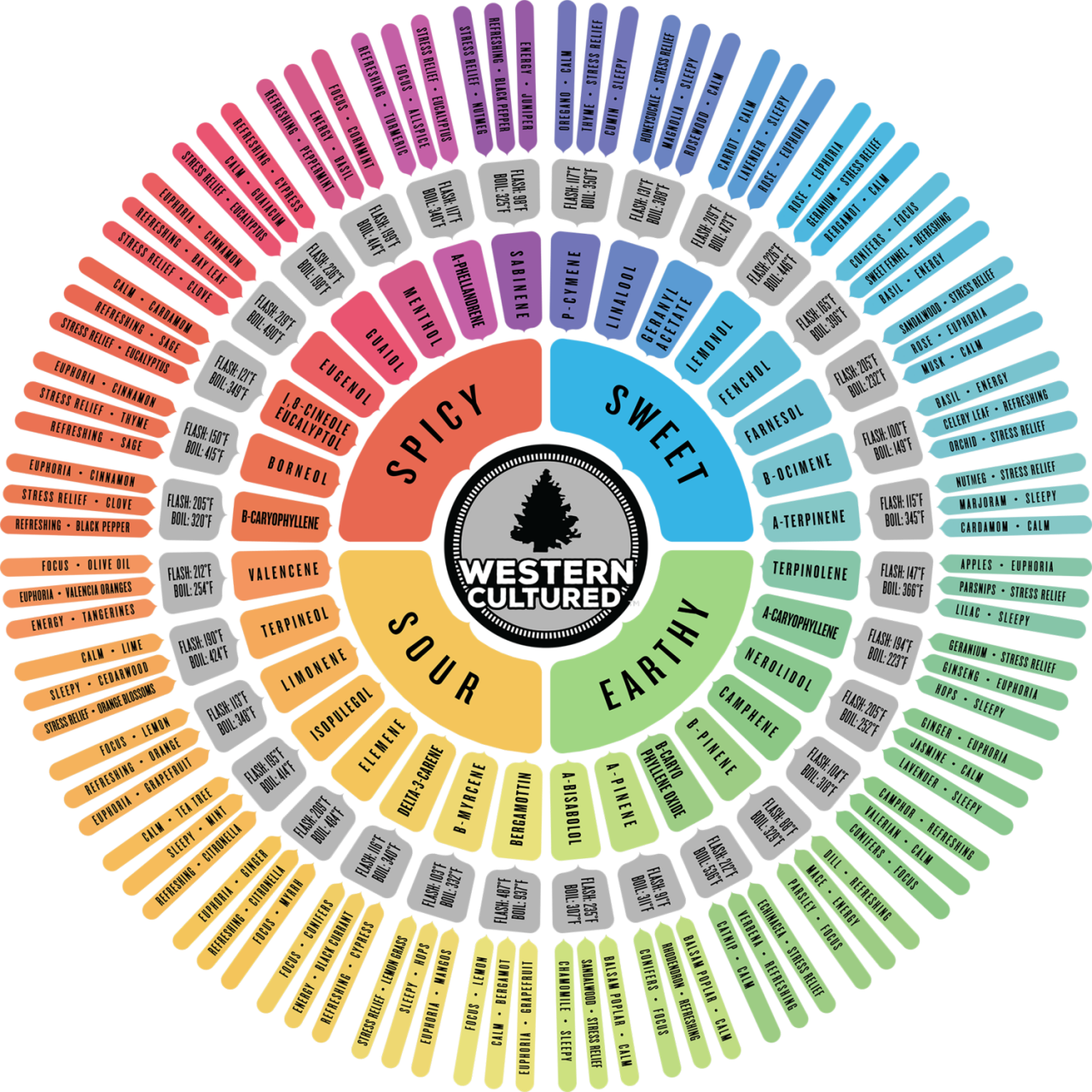 terp-wheel-2019-web.png