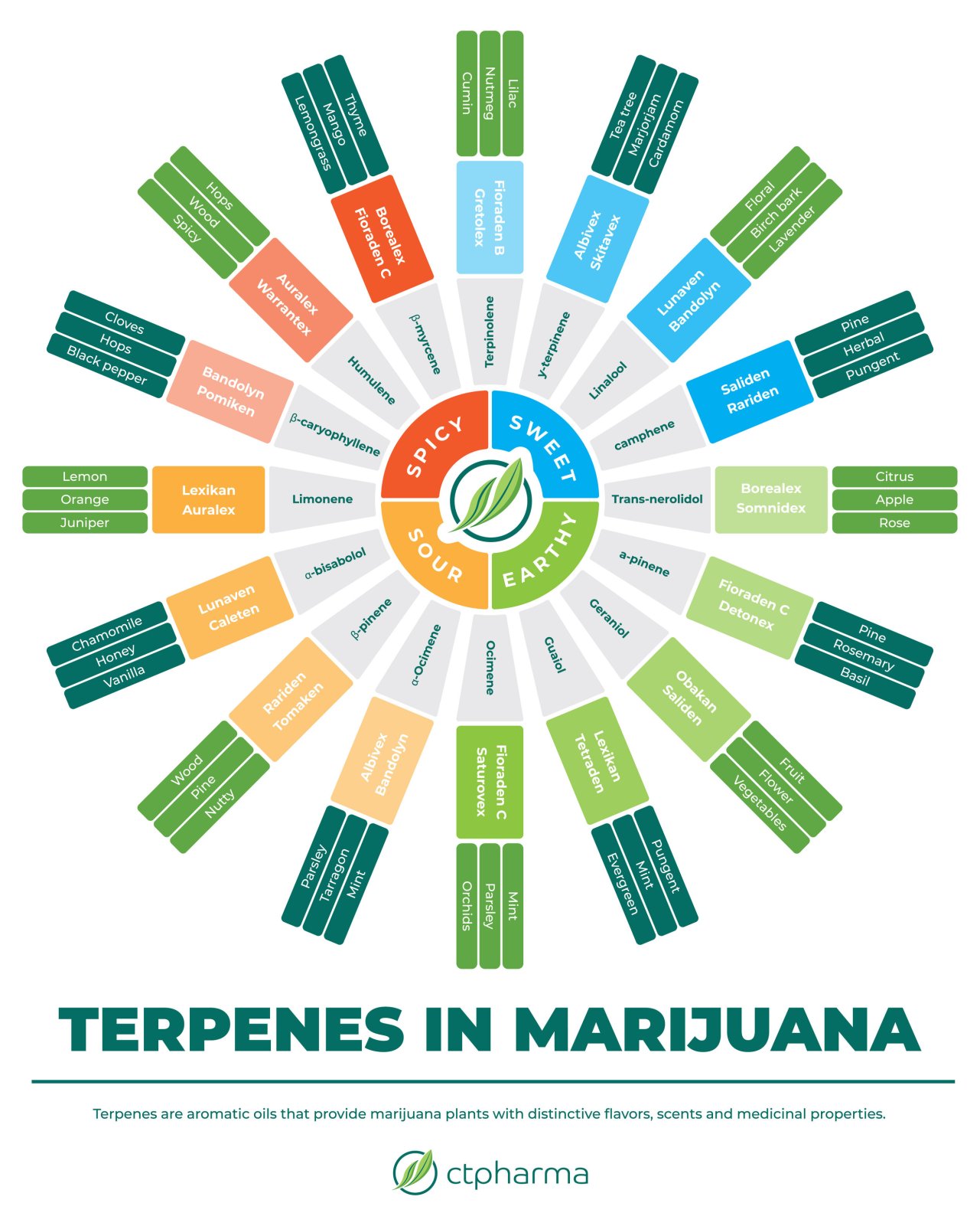 TerpeneInfographic_FINALFORPRINT-01.jpg