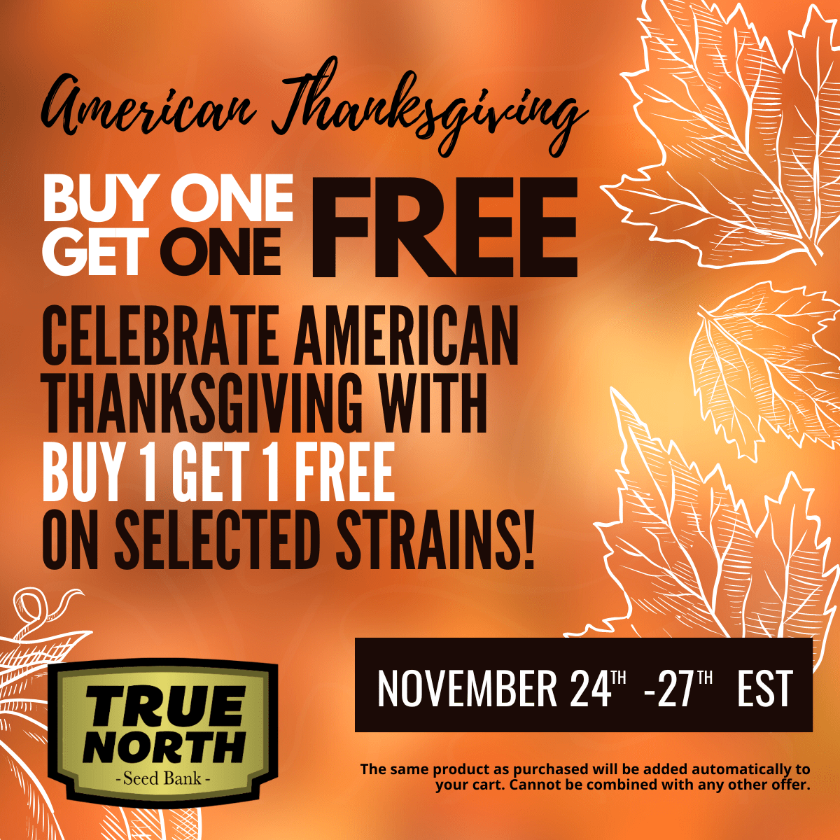 TNSB-AMThanksgiving-1200x1200-min.png