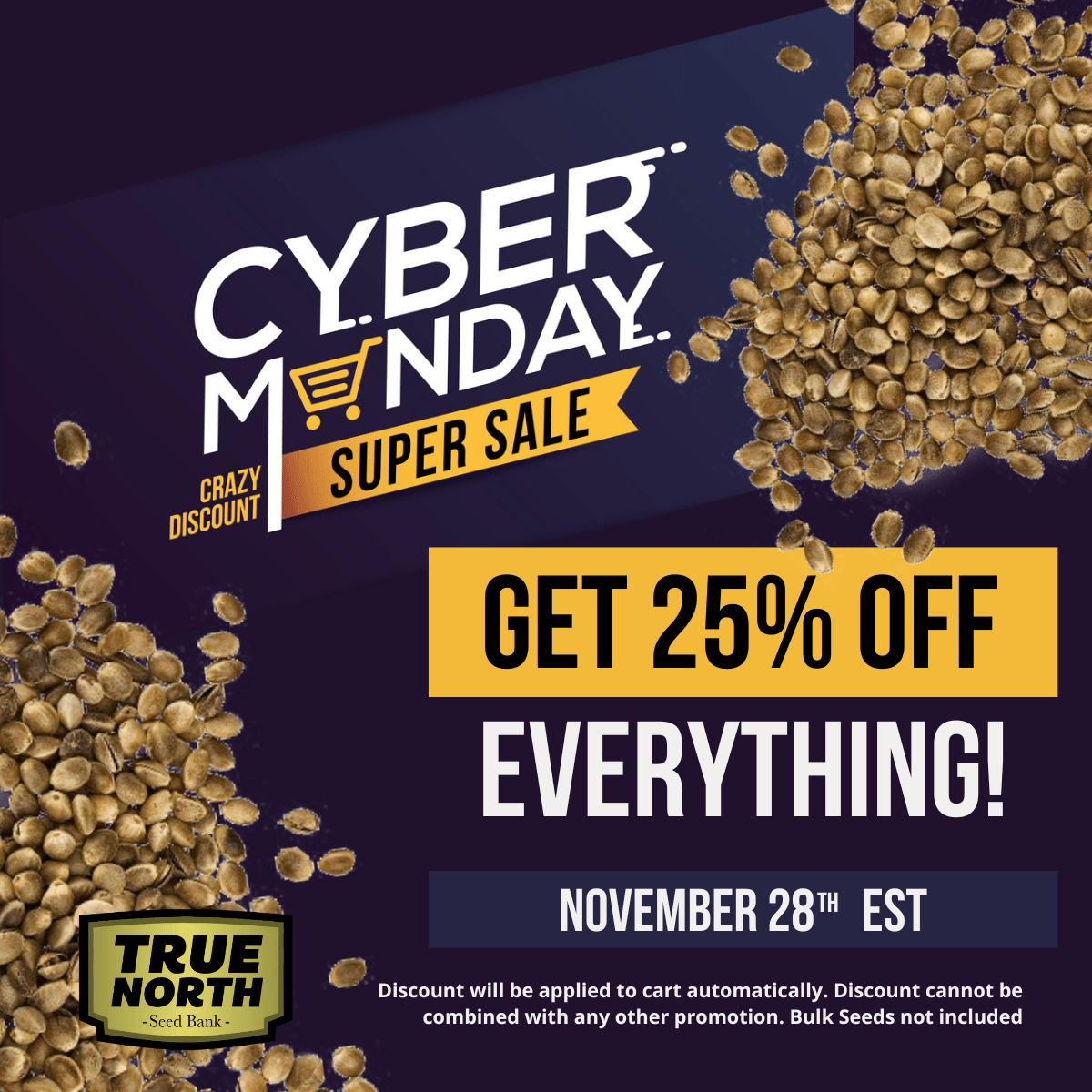 TNSB-CyberMonday-1200x1200-min.png