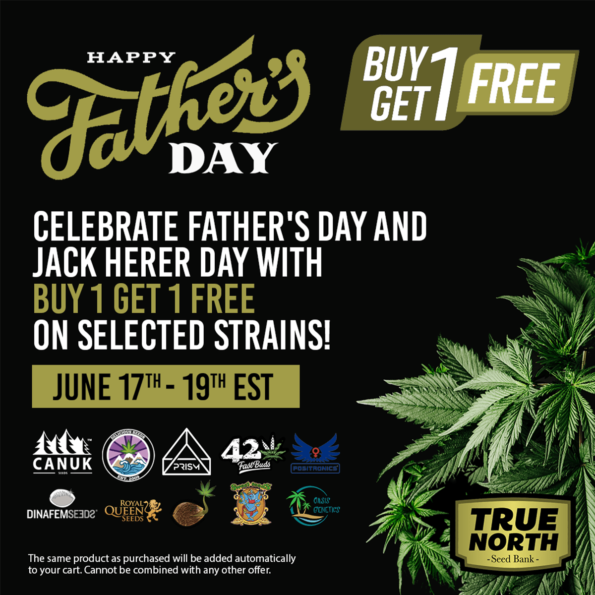 TNSB-FathersDaySale-1200x1200-min.png