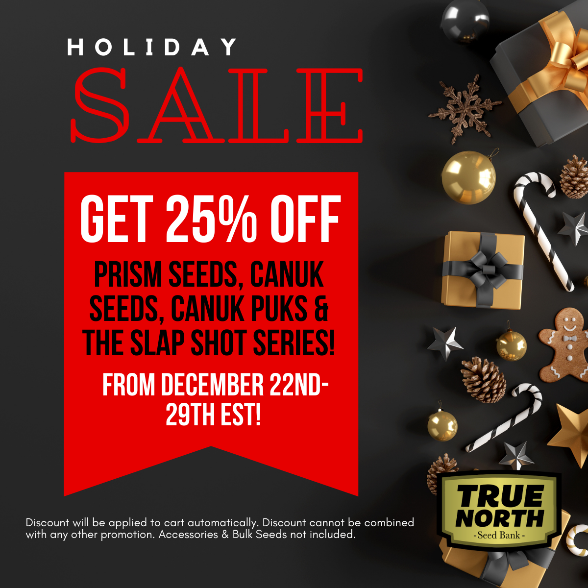 TNSB-HolidaySale-1200x1200.png