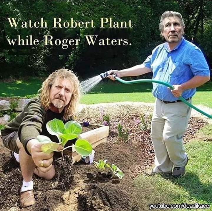 Watering a plant.jpg