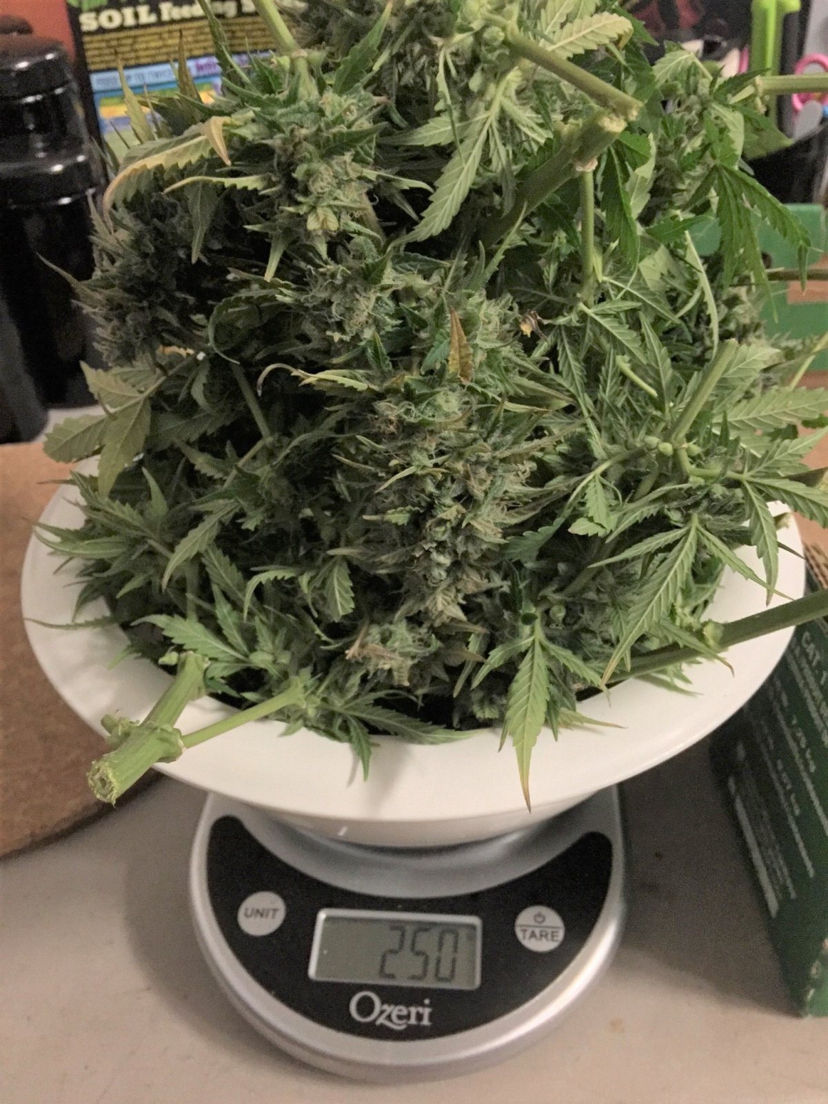 Wet weight pre trim.jpg