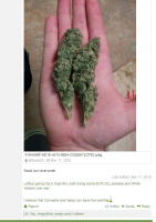 23 - leftout420 - 8 likes.png