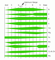 pH_chart.gif