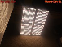 Spider Farmer SF 4000 fixture front light up test.jpg