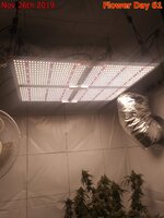 Spider Farmer SF 4000 fixture installed 1.jpg