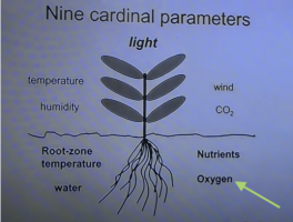 Parameters of Growth O2 Arrow.png