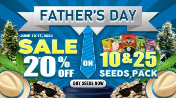 Fathers Day Rocket Seeds.jpg