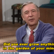 Mr. Rogers