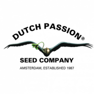 Dutch Passion Seeds