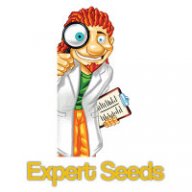 Expert Seedbank