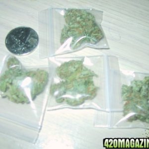 4 dime bags