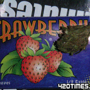 strawberry_nug