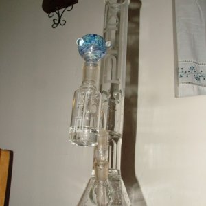 New Ash Catcher