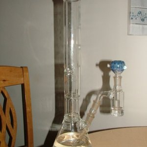 New Ash Catcher