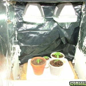 Grow Journal updates