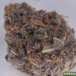 Grape Ape