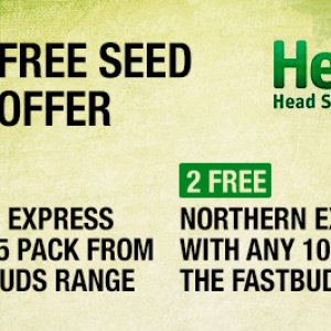 Fast Buds Offer at Herbies