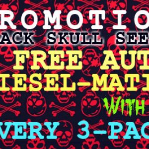 Black Skull Promo