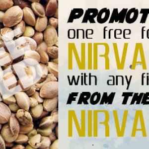 Nirvana promotion