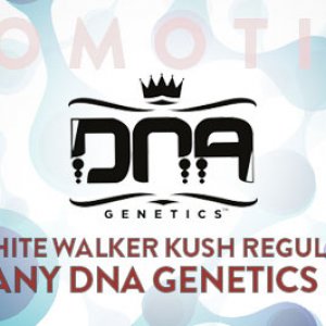 DNA Genetics Promo