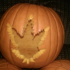 Pot Pumpkin