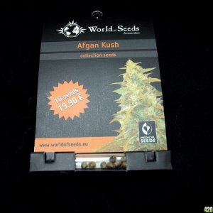 W.O.S. Afghan Kush