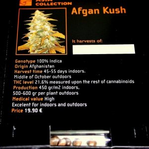 W.O.S. Afghan Kush