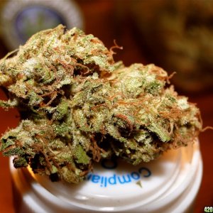 Medical Cannabis