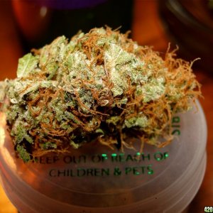 Medical Cannabis