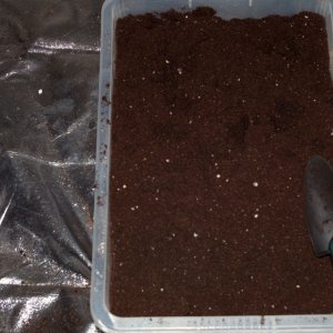 Soil Mix