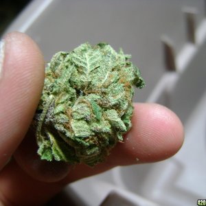 A Nug of Rk