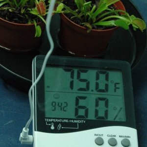 RH% /temp in Veg tent